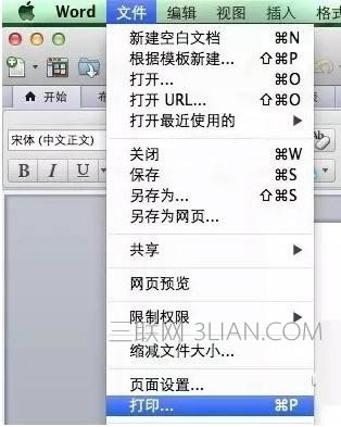 蘋果電腦如何給word設(shè)置密碼